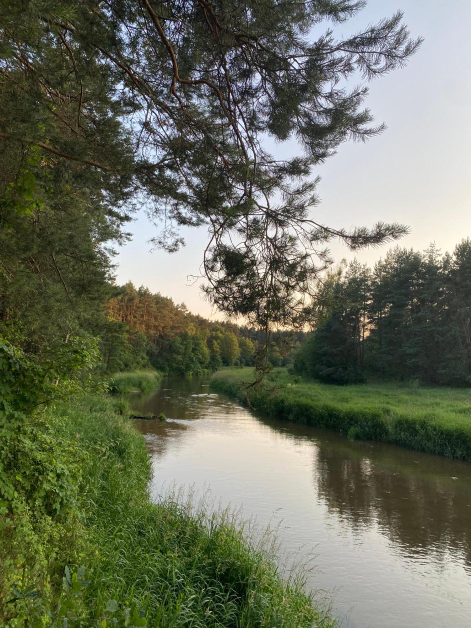 Przytulny Domek W Lesie Blisko Rzeki Ryczywol  Εξωτερικό φωτογραφία